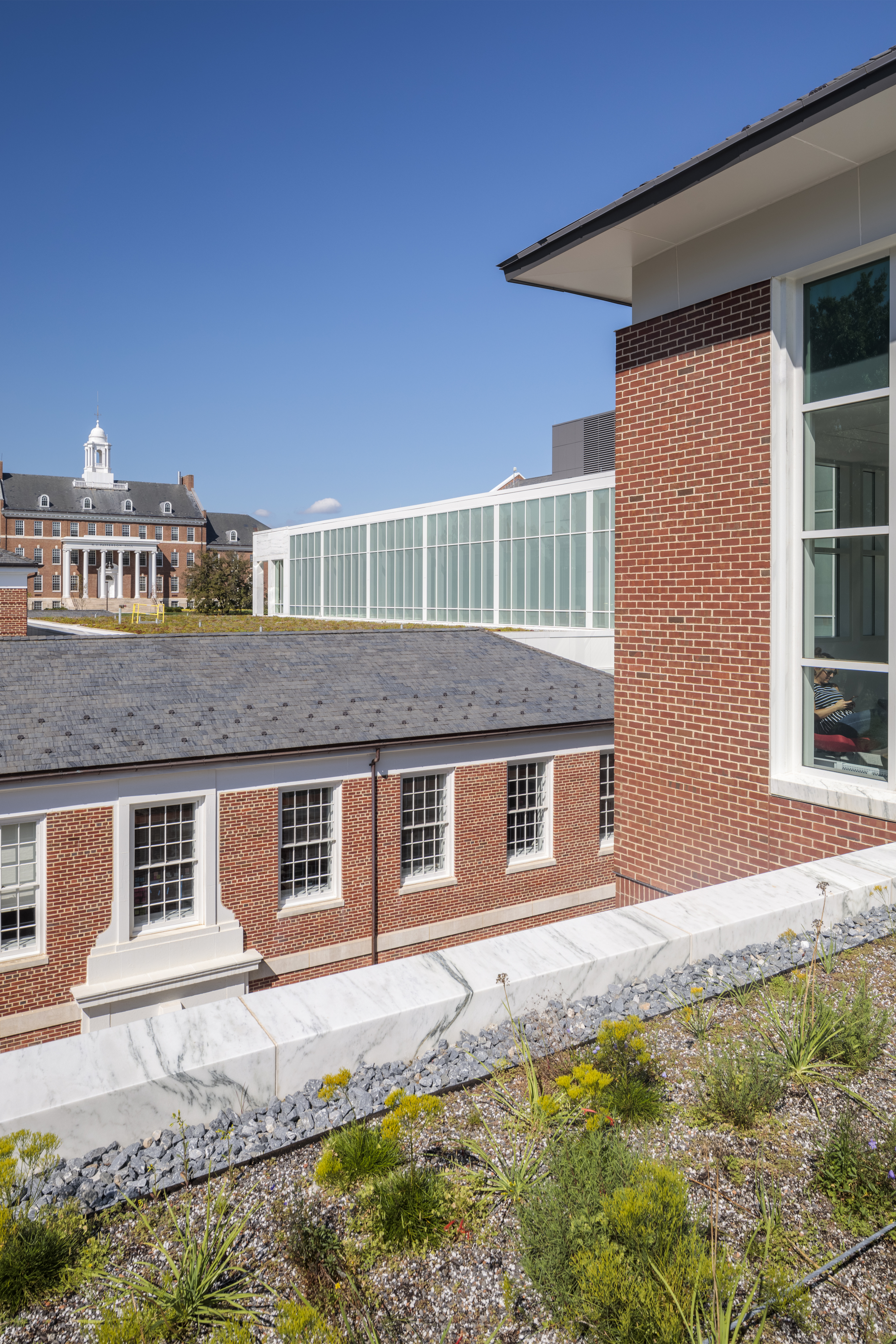 ESJ Green Roof